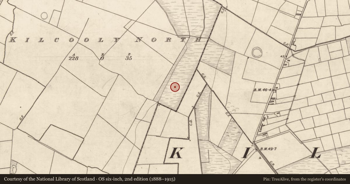 Ordnance Survey six-inch map, 2nd edition (1888–1915) covering the location of Fulacht fia, Kilcooly North, County Kerry, with a pin at the register's coordinates