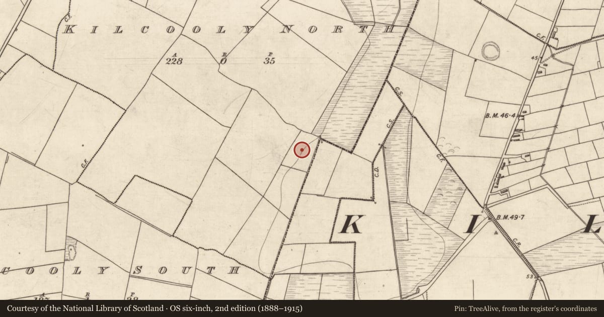 Ordnance Survey six-inch map, 2nd edition (1888–1915) covering the location of Fulacht fia, Kilcooly North, County Kerry, with a pin at the register's coordinates