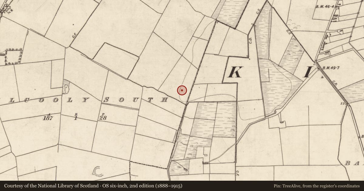 Ordnance Survey six-inch map, 2nd edition (1888–1915) covering the location of Fulacht fia, Kilcooly North, County Kerry, with a pin at the register's coordinates