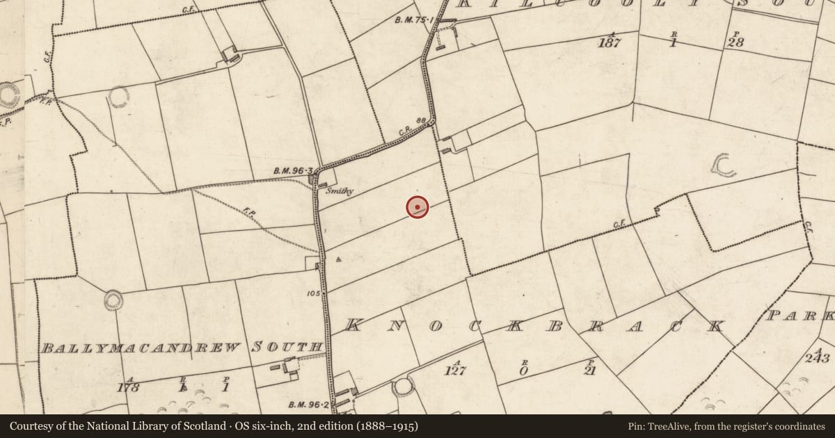 Ordnance Survey six-inch map, 2nd edition (1888–1915) covering the location of Ringfort - rath, Knockbrack, County Kerry, with a pin at the register's coordinates