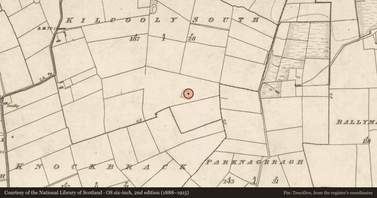 Ordnance Survey six-inch map, 2nd edition (1888–1915) covering the location of Ringfort - rath, Kilcooly South, County Kerry, with a pin at the register's coordinates