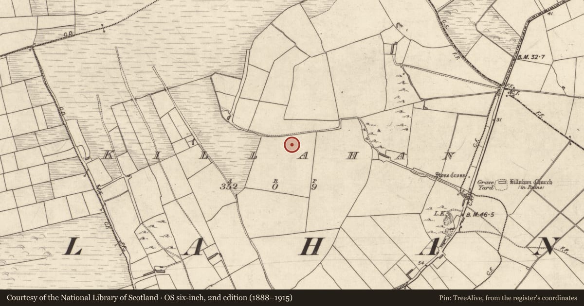 Ordnance Survey six-inch map, 2nd edition (1888–1915) covering the location of Ringfort - rath, Killahan, County Kerry, with a pin at the register's coordinates