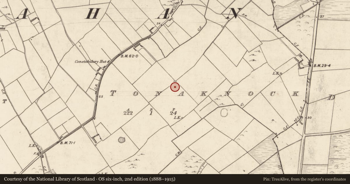 Ordnance Survey six-inch map, 2nd edition (1888–1915) covering the location of Ringfort - rath, Tonaknock, County Kerry, with a pin at the register's coordinates