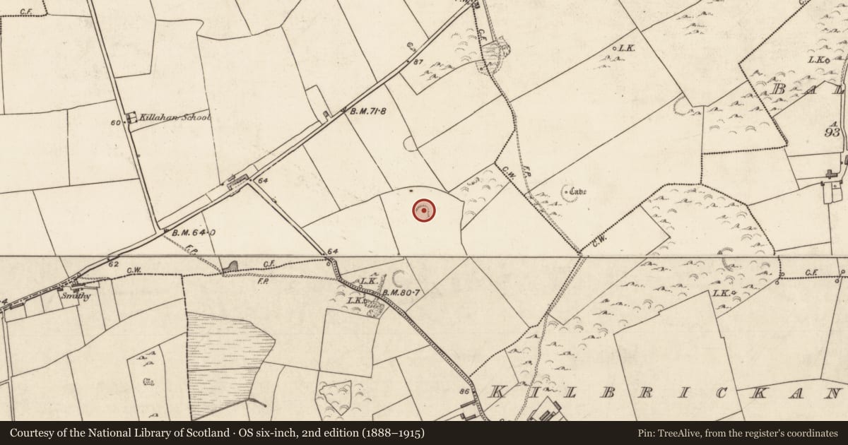 Ordnance Survey six-inch map, 2nd edition (1888–1915) covering the location of Ringfort - rath, Ballymacaquim East, County Kerry, with a pin at the register's coordinates