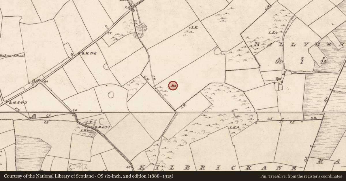 Ordnance Survey six-inch map, 2nd edition (1888–1915) covering the location of Ringfort - rath, Tonaknock, County Kerry, with a pin at the register's coordinates