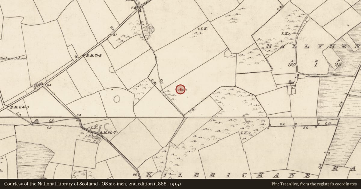 Ordnance Survey six-inch map, 2nd edition (1888–1915) covering the location of Souterrain, Tonaknock, County Kerry, with a pin at the register's coordinates