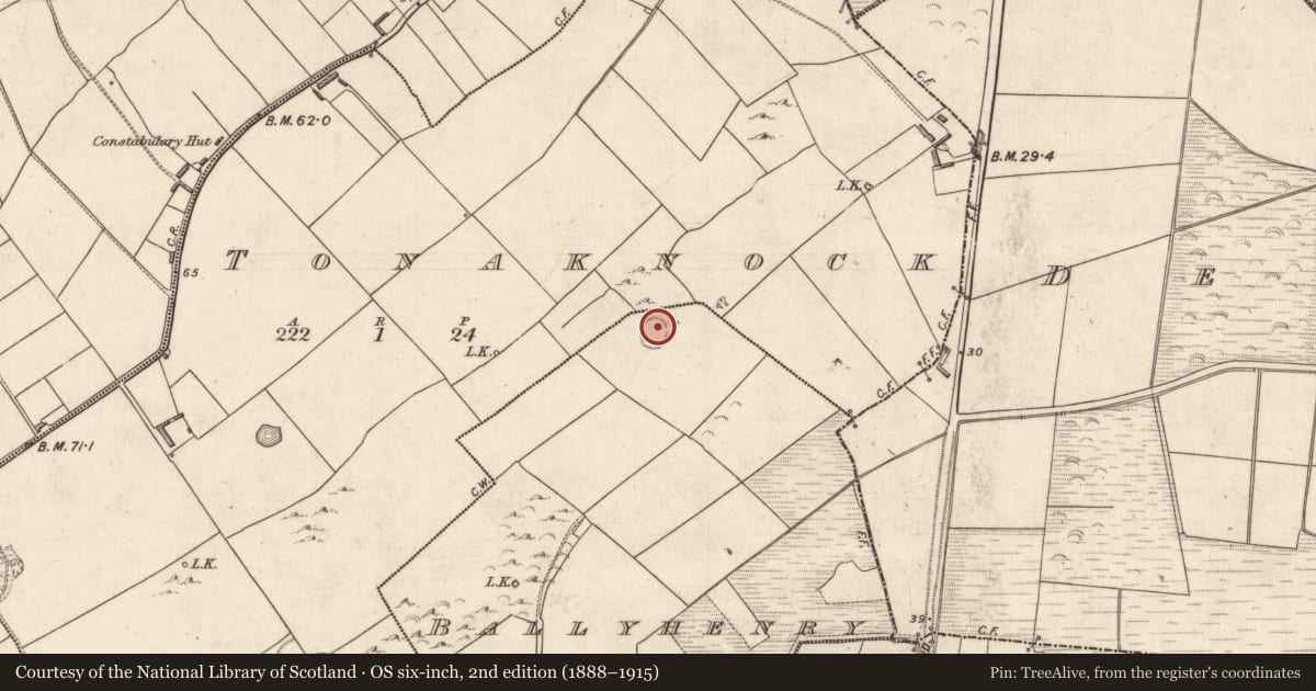 Ordnance Survey six-inch map, 2nd edition (1888–1915) covering the location of Ringfort - rath, Ballyhenry, County Kerry, with a pin at the register's coordinates