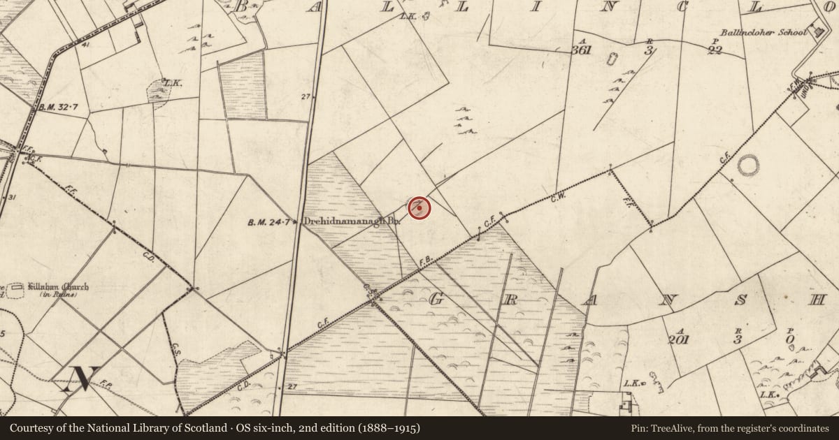 Ordnance Survey six-inch map, 2nd edition (1888–1915) covering the location of Ringfort - rath, Ballincloher, County Kerry, with a pin at the register's coordinates