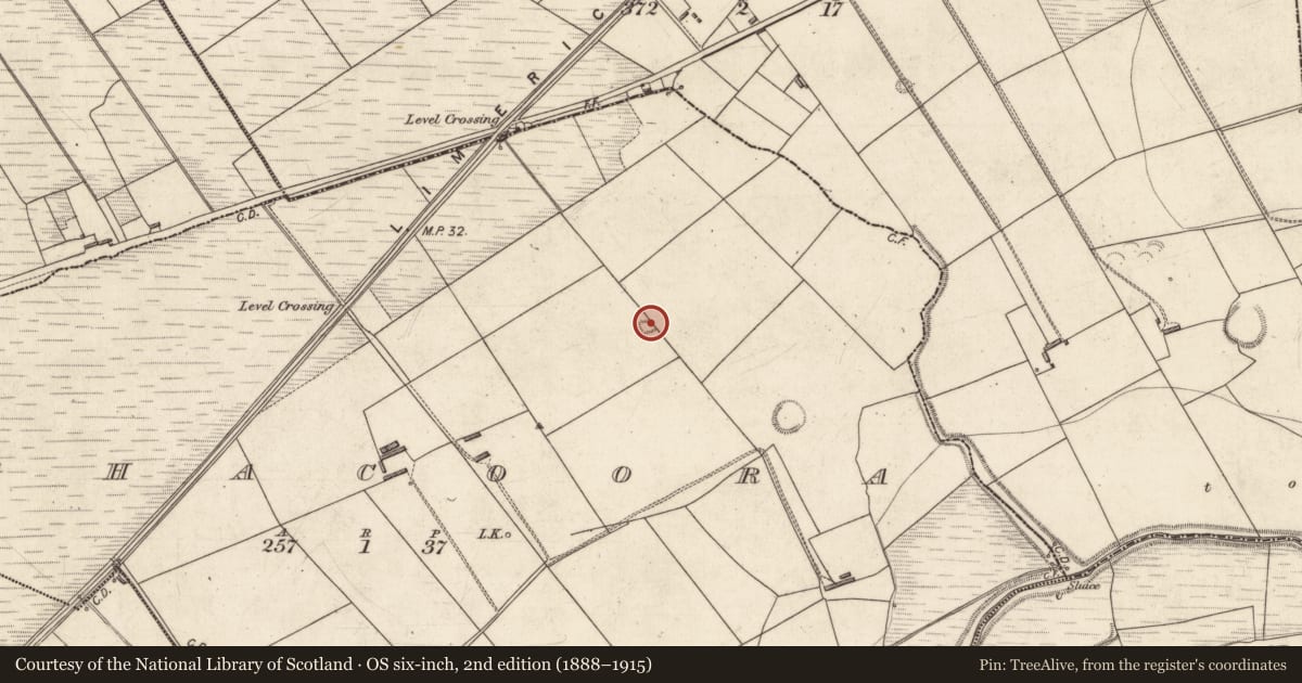 Ordnance Survey six-inch map, 2nd edition (1888–1915) covering the location of Enclosure, Aghacoora, County Kerry, with a pin at the register's coordinates