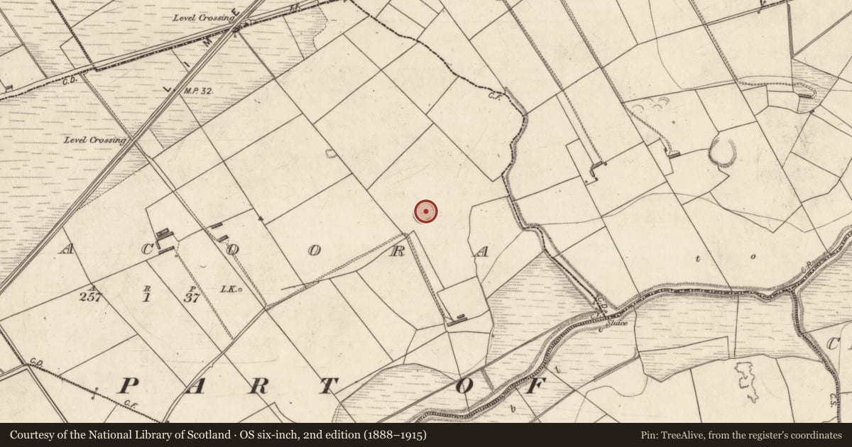 Ordnance Survey six-inch map, 2nd edition (1888–1915) covering the location of Ringfort - rath, Aghacoora, County Kerry, with a pin at the register's coordinates
