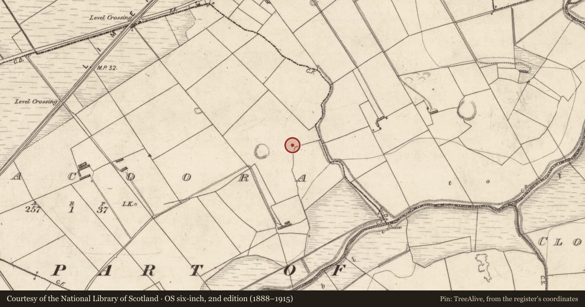 Ordnance Survey six-inch map, 2nd edition (1888–1915) covering the location of Fulacht fia, Aghacoora, County Kerry, with a pin at the register's coordinates