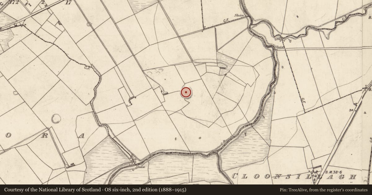 Ordnance Survey six-inch map, 2nd edition (1888–1915) covering the location of Ringfort - rath, Liscullane (Clanmaurice By., Kilcaragh Par.), County Kerry, with a pin at the register's coordinates