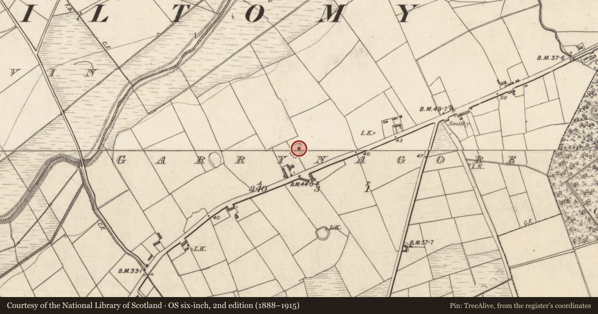Ordnance Survey six-inch map, 2nd edition (1888–1915) covering the location of Ringfort - rath, Garrynagore, County Kerry, with a pin at the register's coordinates