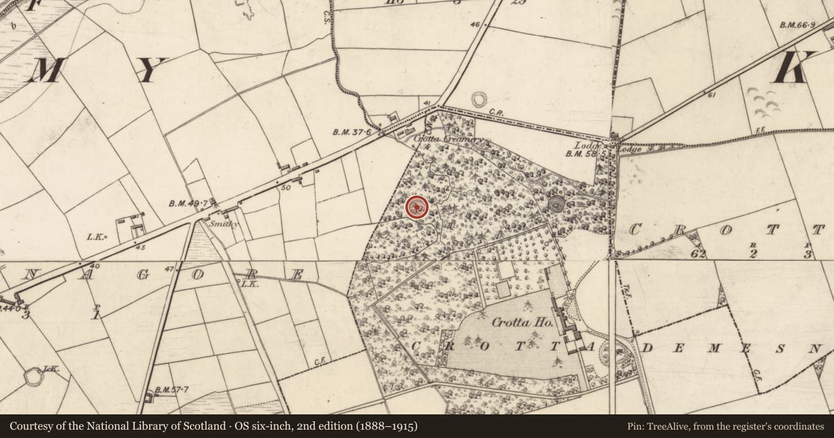 Ordnance Survey six-inch map, 2nd edition (1888–1915) covering the location of Ringfort - rath, Crotta (Clanmaurice By., Kilflyn Par.), County Kerry, with a pin at the register's coordinates