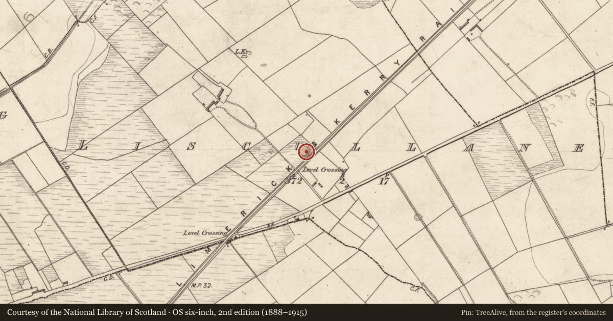 Ordnance Survey six-inch map, 2nd edition (1888–1915) covering the location of Ringfort - rath, Liscullane (Clanmaurice By., Kilcaragh Par.), County Kerry, with a pin at the register's coordinates