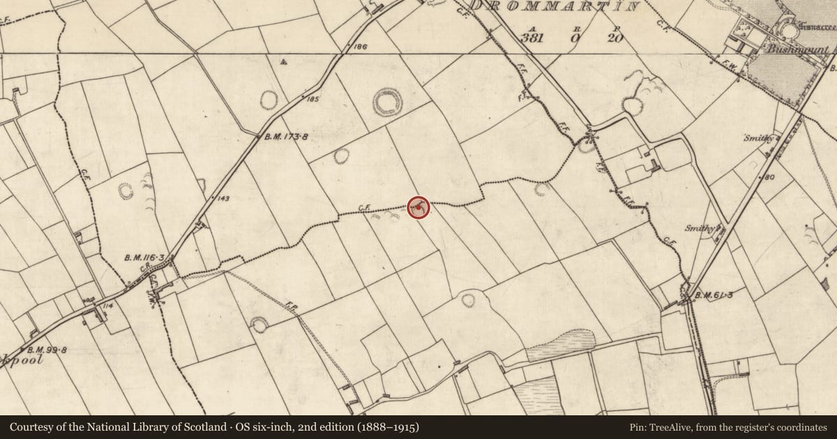 Ordnance Survey six-inch map, 2nd edition (1888–1915) covering the location of Ringfort - rath, Ballincrossig, County Kerry, with a pin at the register's coordinates