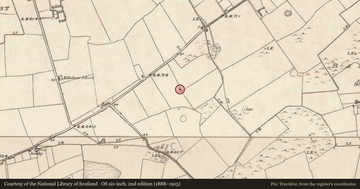 Ordnance Survey six-inch map, 2nd edition (1888–1915) covering the location of Ringfort - rath, Ballymacaquim East, County Kerry, with a pin at the register's coordinates