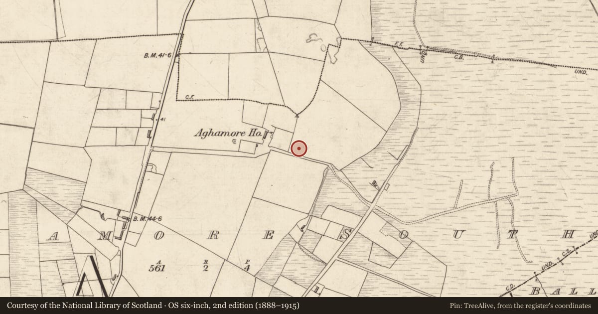 Ordnance Survey six-inch map, 2nd edition (1888–1915) covering the location of Souterrain, Aghamore South, County Kerry, with a pin at the register's coordinates