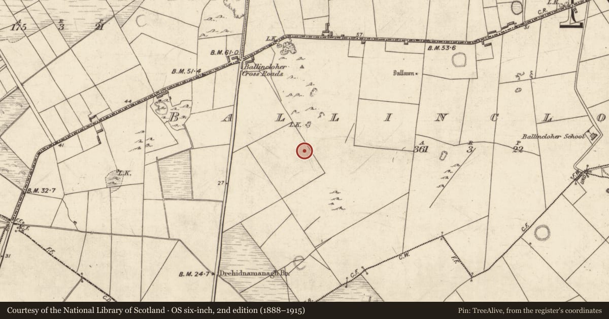 Ordnance Survey six-inch map, 2nd edition (1888–1915) covering the location of Burnt spread, Ballincloher, County Kerry, with a pin at the register's coordinates