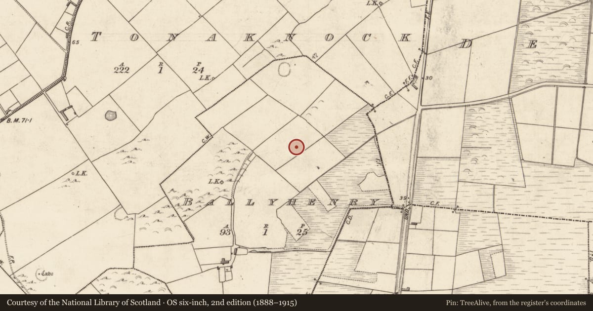 Ordnance Survey six-inch map, 2nd edition (1888–1915) covering the location of Burnt spread, Ballyhenry, County Kerry, with a pin at the register's coordinates