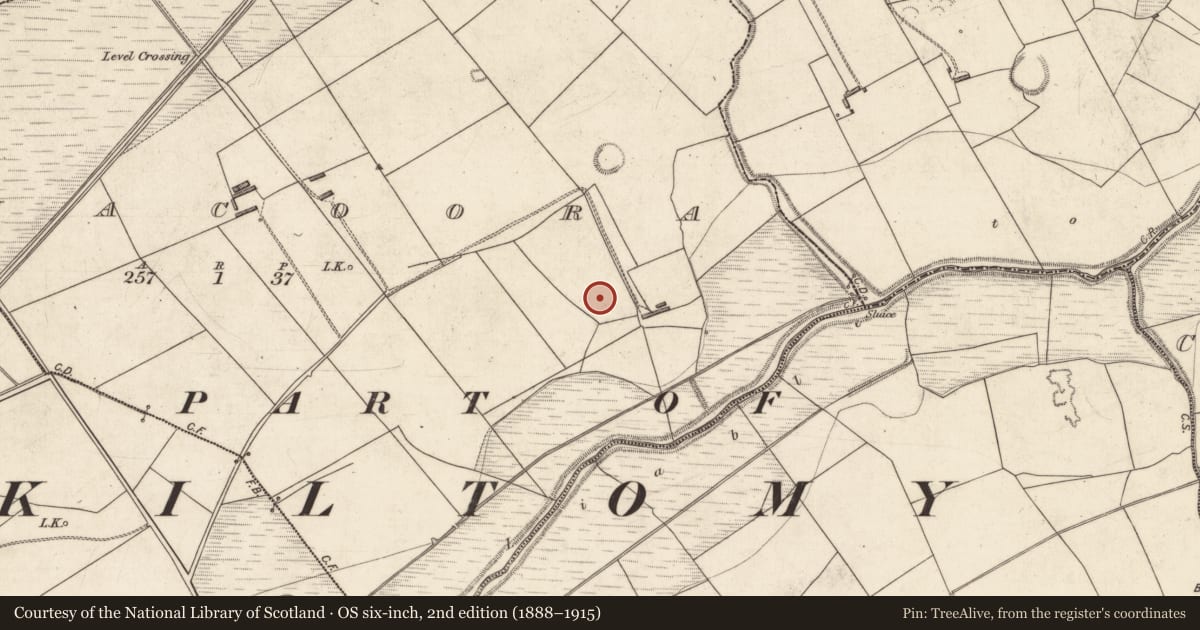 Ordnance Survey six-inch map, 2nd edition (1888–1915) covering the location of Earthwork, Aghacoora, County Kerry, with a pin at the register's coordinates