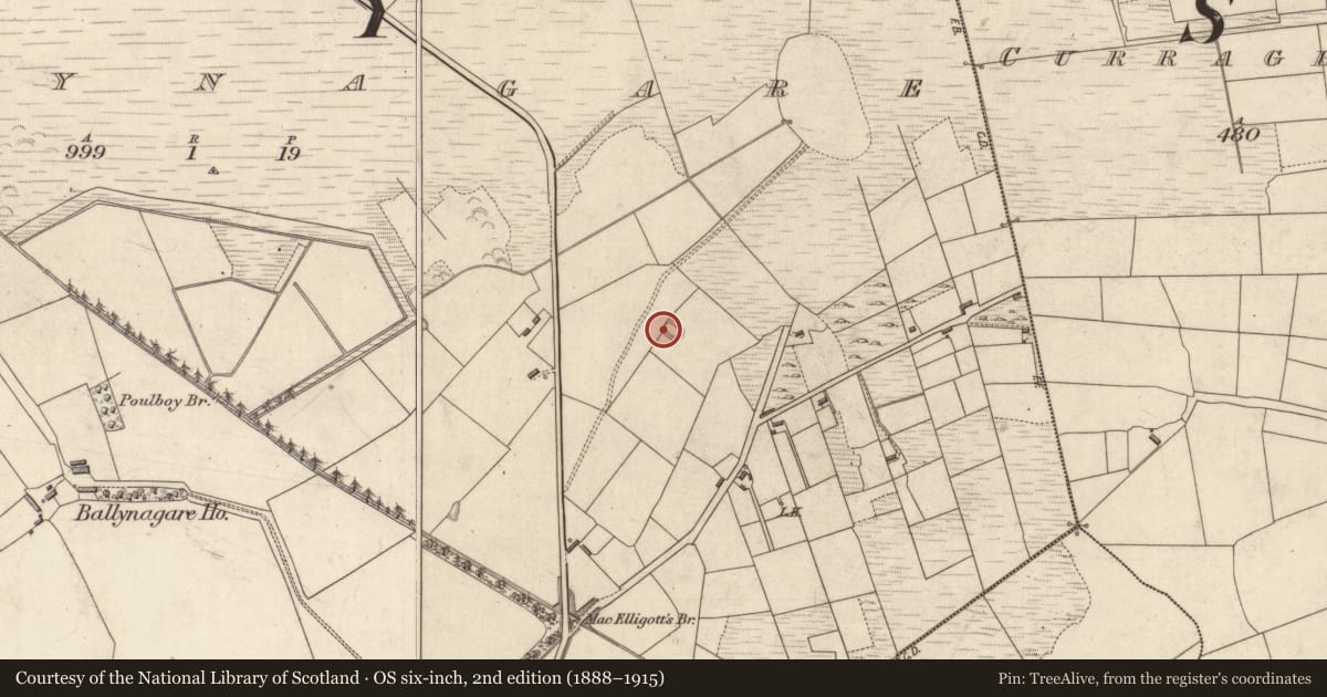 Ordnance Survey six-inch map, 2nd edition (1888–1915) covering the location of Ringfort - rath, Ballynagare, County Kerry, with a pin at the register's coordinates