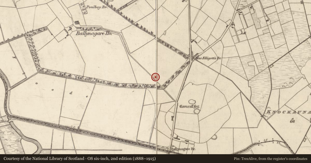 Ordnance Survey six-inch map, 2nd edition (1888–1915) covering the location of Mound, Ballynagare, County Kerry, with a pin at the register's coordinates