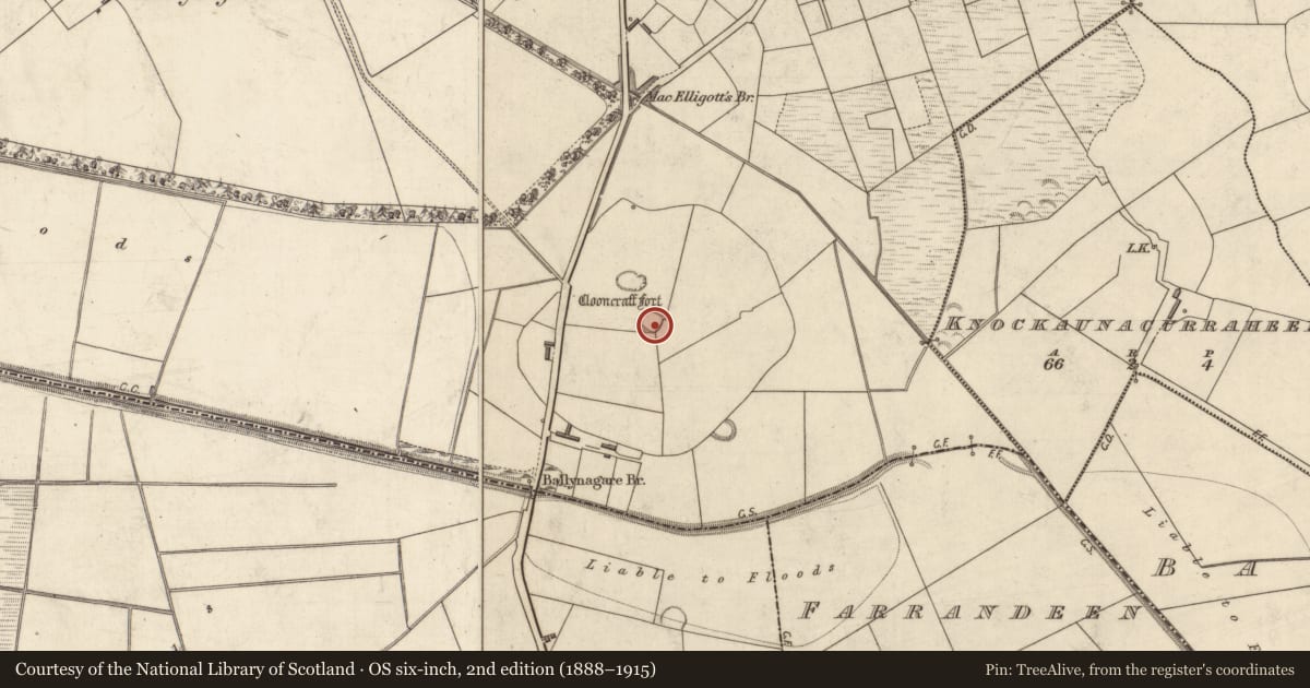 Ordnance Survey six-inch map, 2nd edition (1888–1915) covering the location of Ecclesiastical enclosure, Ballynagare, County Kerry, with a pin at the register's coordinates