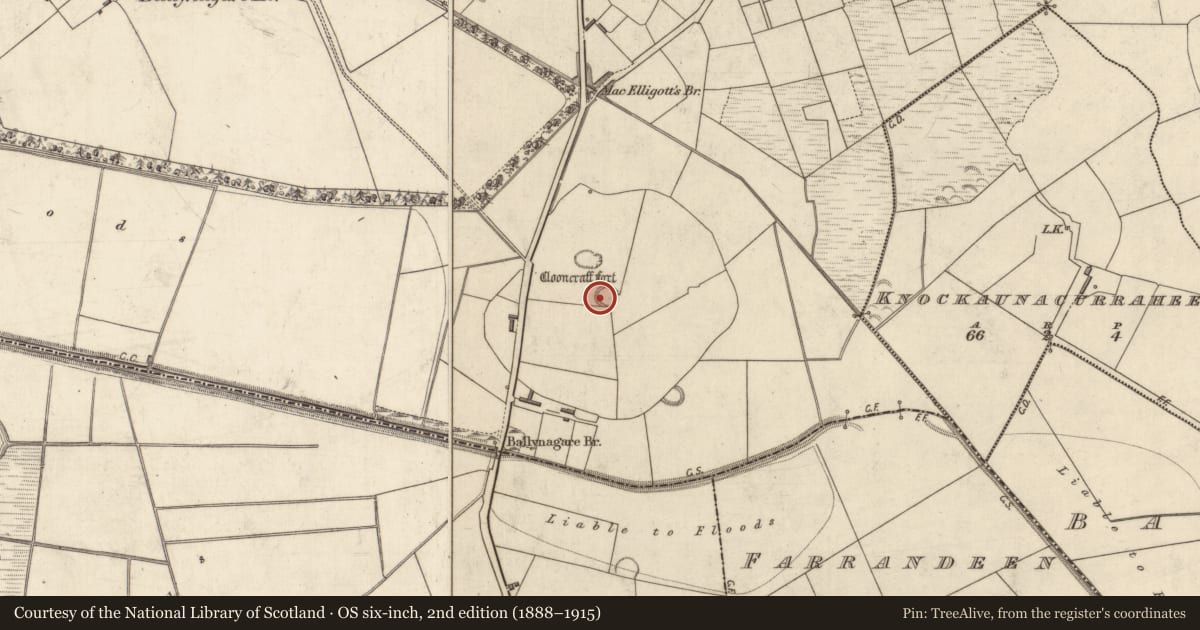 Ordnance Survey six-inch map, 2nd edition (1888–1915) covering the location of Ringfort - rath, Ballynagare, County Kerry, with a pin at the register's coordinates