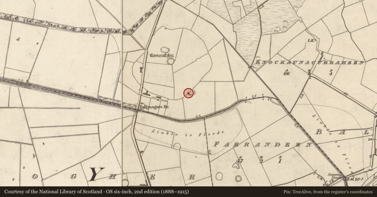 Ordnance Survey six-inch map, 2nd edition (1888–1915) covering the location of Ringfort - rath, Ballynagare, County Kerry, with a pin at the register's coordinates