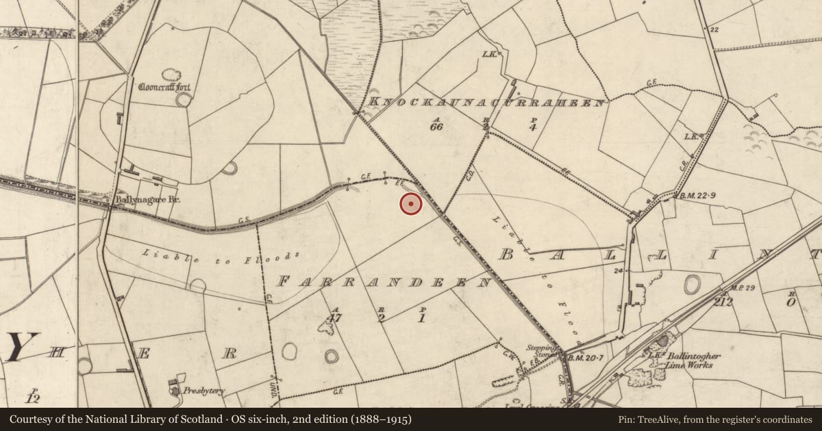 Ordnance Survey six-inch map, 2nd edition (1888–1915) covering the location of Enclosure, Farrandeen, County Kerry, with a pin at the register's coordinates