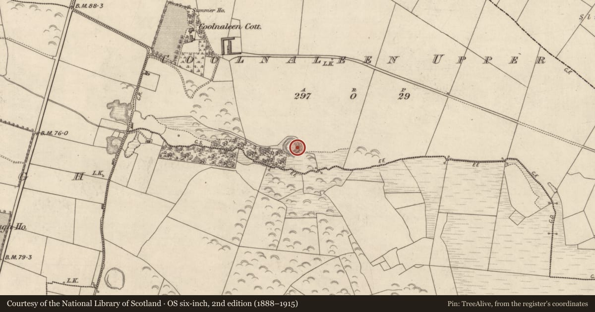 Ordnance Survey six-inch map, 2nd edition (1888–1915) covering the location of Souterrain, Coolnaleen Upper, County Kerry, with a pin at the register's coordinates