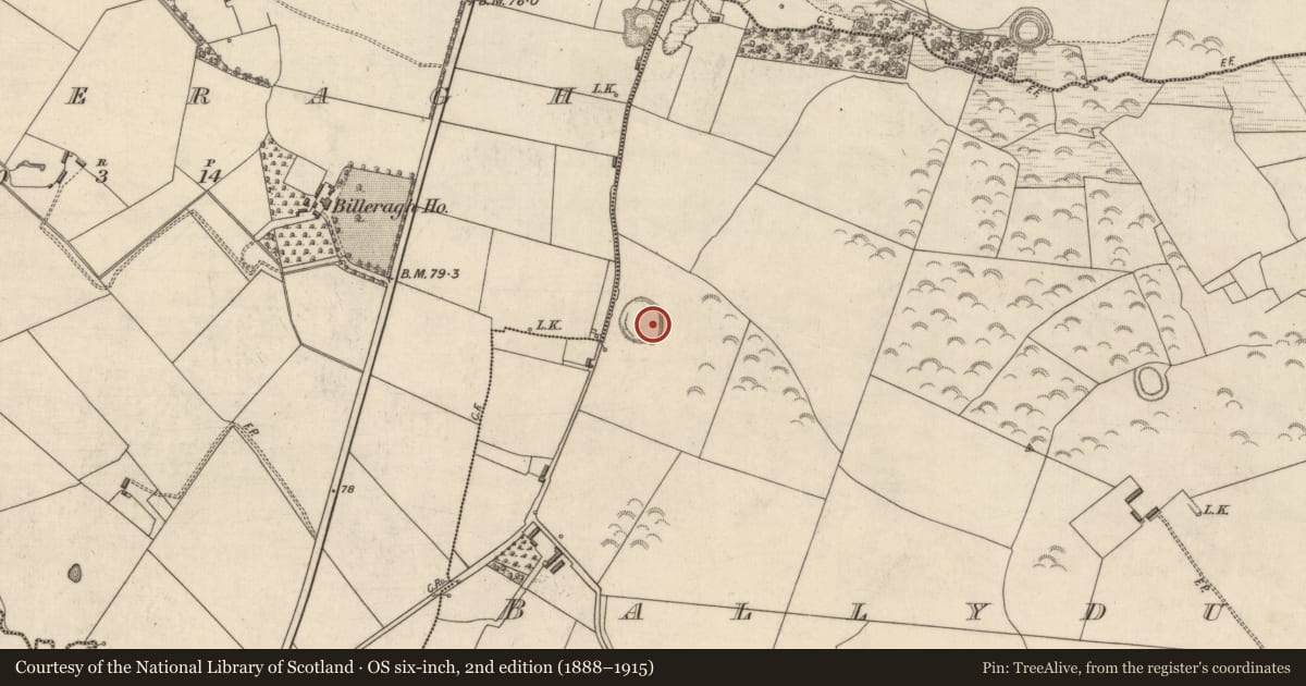 Ordnance Survey six-inch map, 2nd edition (1888–1915) covering the location of Ringfort - rath, Ballyduhig, County Kerry, with a pin at the register's coordinates