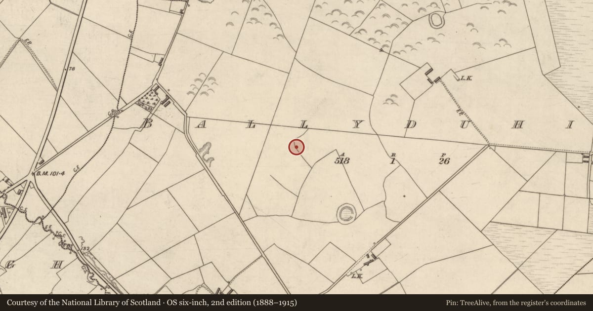Ordnance Survey six-inch map, 2nd edition (1888–1915) covering the location of Enclosure, Ballyduhig, County Kerry, with a pin at the register's coordinates