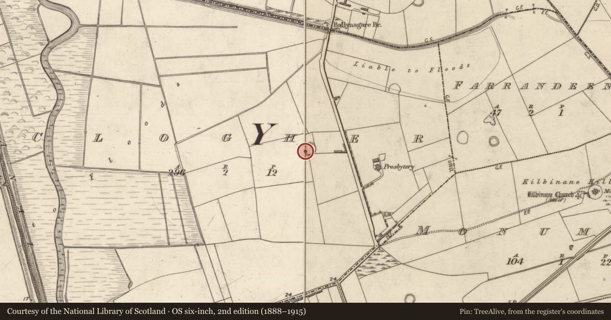 Ordnance Survey six-inch map, 2nd edition (1888–1915) covering the location of Ringfort - rath, Clogher, County Kerry, with a pin at the register's coordinates