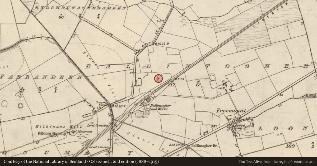 Ordnance Survey six-inch map, 2nd edition (1888–1915) covering the location of Ringfort - rath, Ballintogher, County Kerry, with a pin at the register's coordinates