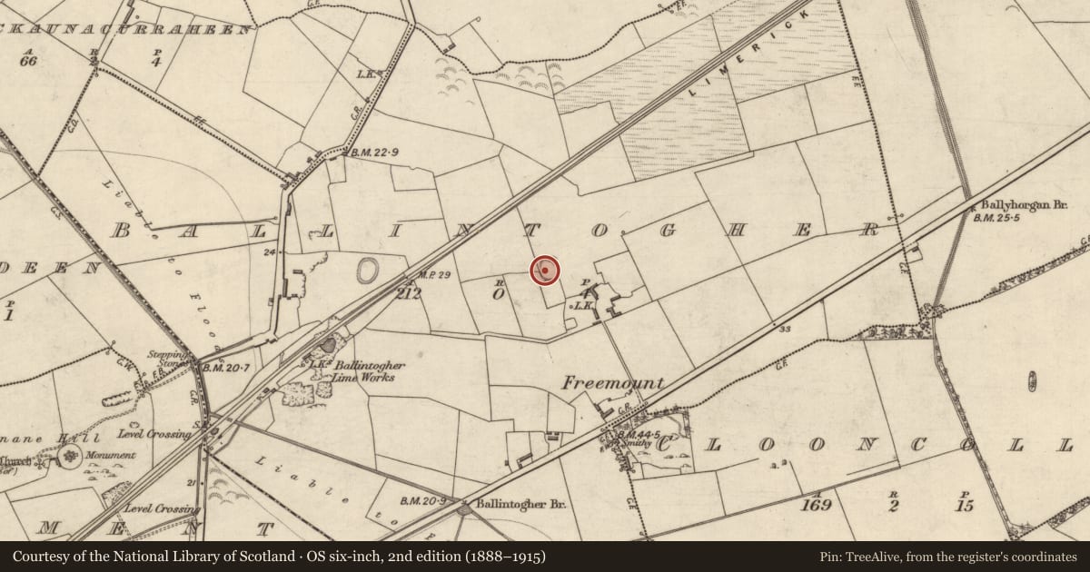 Ordnance Survey six-inch map, 2nd edition (1888–1915) covering the location of Ringfort - rath, Ballintogher, County Kerry, with a pin at the register's coordinates