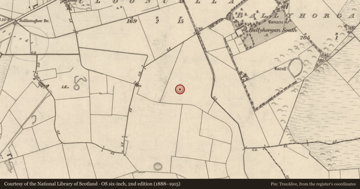 Ordnance Survey six-inch map, 2nd edition (1888–1915) covering the location of Ringfort - rath, Ballyhennessy, County Kerry, with a pin at the register's coordinates