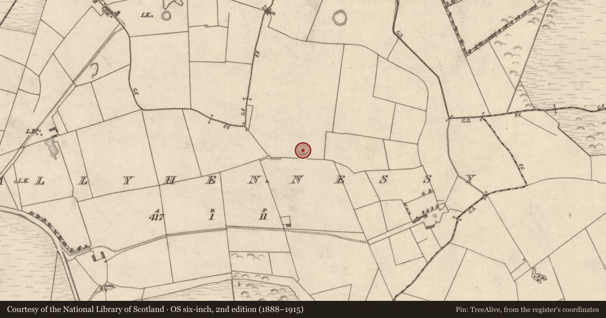 Ordnance Survey six-inch map, 2nd edition (1888–1915) covering the location of Ringfort - rath, Ballyhennessy, County Kerry, with a pin at the register's coordinates