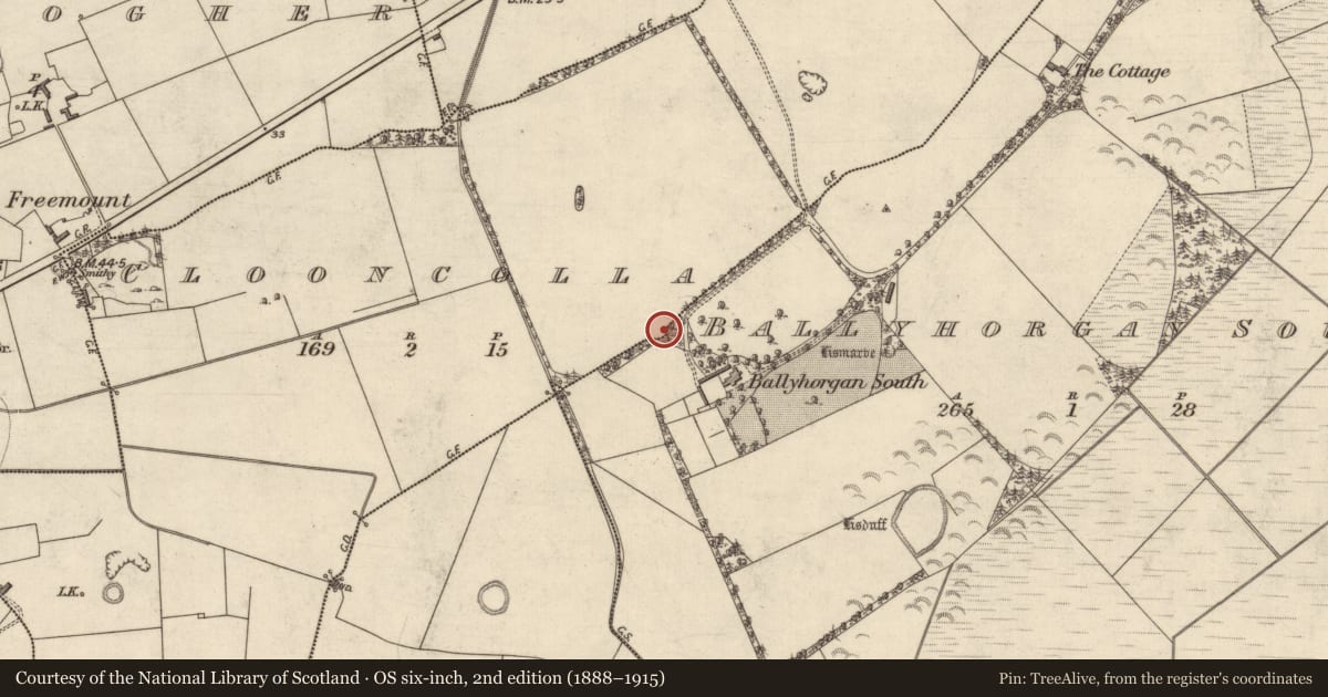 Ordnance Survey six-inch map, 2nd edition (1888–1915) covering the location of Ringfort - rath, Ballyhorgan South, County Kerry, with a pin at the register's coordinates