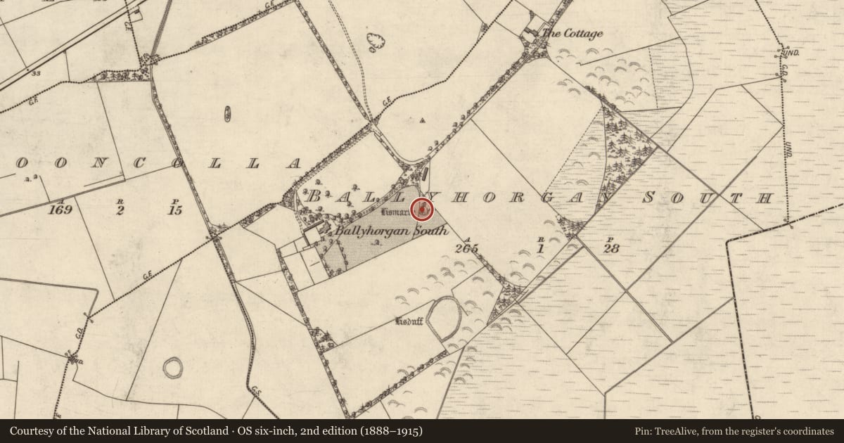 Ordnance Survey six-inch map, 2nd edition (1888–1915) covering the location of Ringfort - rath, Ballyhorgan South, County Kerry, with a pin at the register's coordinates