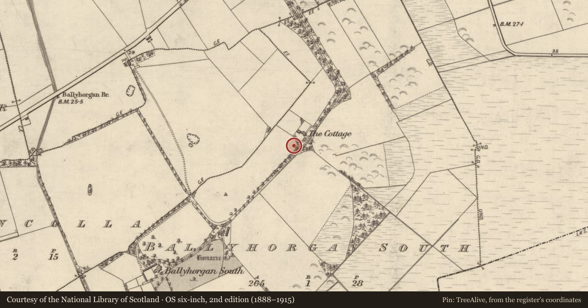 Ordnance Survey six-inch map, 2nd edition (1888–1915) covering the location of Ringfort - rath, Ballyhorgan South, County Kerry, with a pin at the register's coordinates