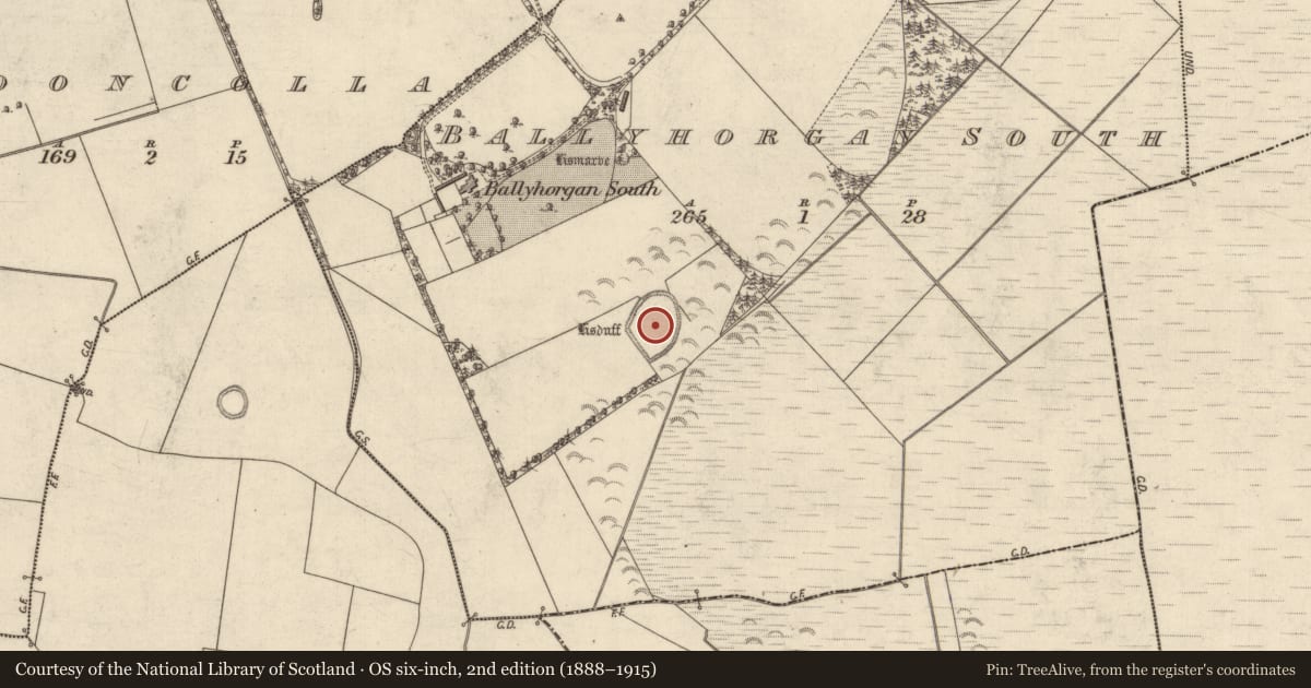 Ordnance Survey six-inch map, 2nd edition (1888–1915) covering the location of Enclosure, Ballyhorgan South, County Kerry, with a pin at the register's coordinates