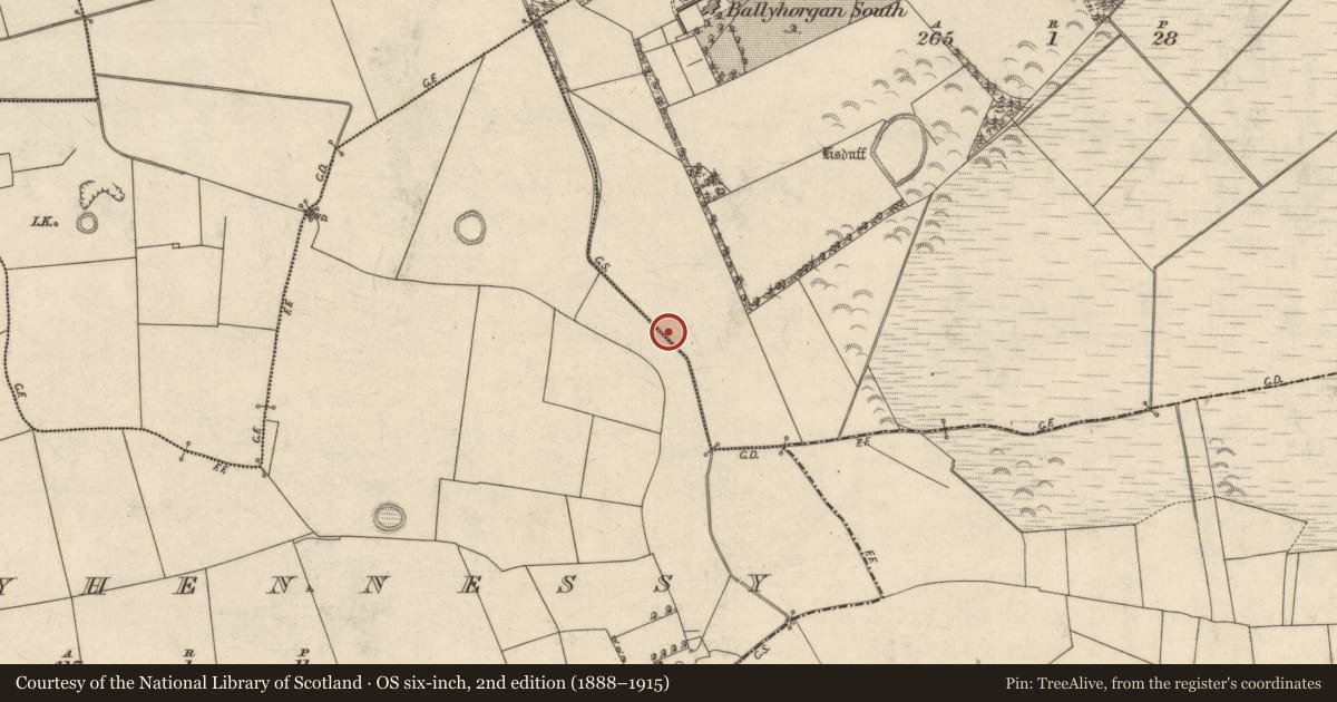 Ordnance Survey six-inch map, 2nd edition (1888–1915) covering the location of Enclosure, Ballyhorgan South, County Kerry, with a pin at the register's coordinates