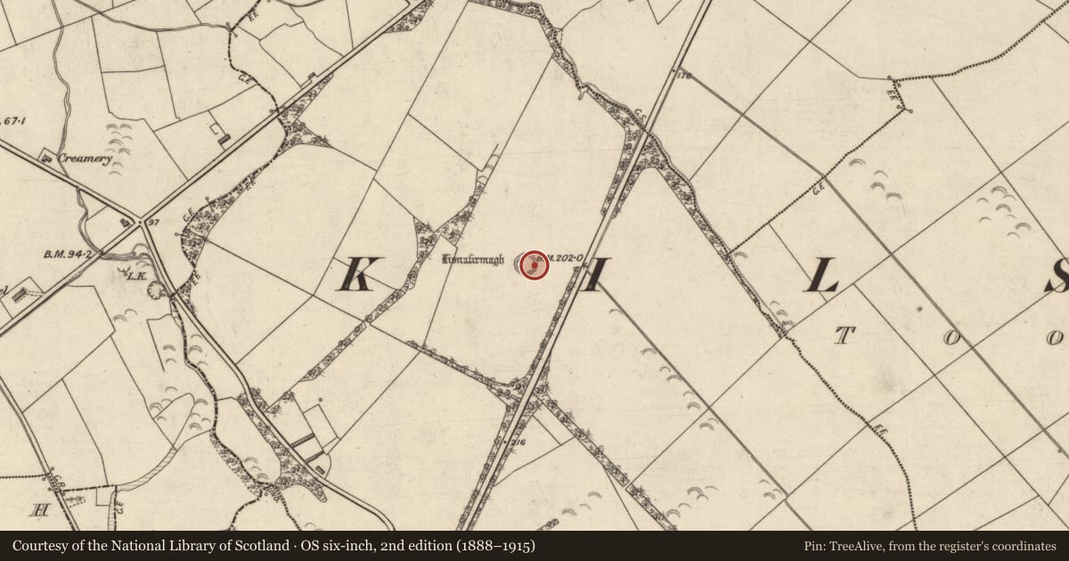 Ordnance Survey six-inch map, 2nd edition (1888–1915) covering the location of Ringfort - rath, Mountcoal, County Kerry, with a pin at the register's coordinates