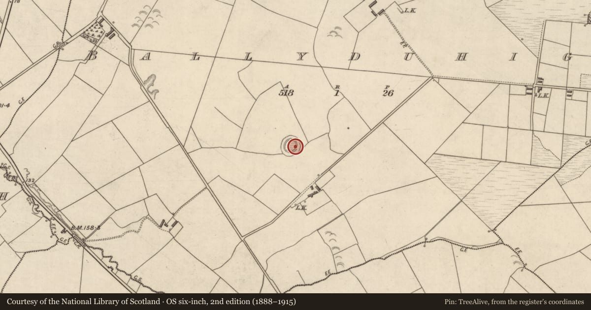Ordnance Survey six-inch map, 2nd edition (1888–1915) covering the location of Ringfort - rath, Ballyduhig, County Kerry, with a pin at the register's coordinates