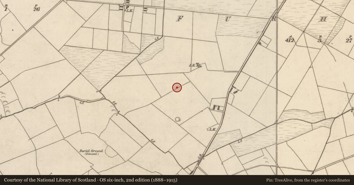 Ordnance Survey six-inch map, 2nd edition (1888–1915) covering the location of Fulacht fia, Furhane, County Kerry, with a pin at the register's coordinates