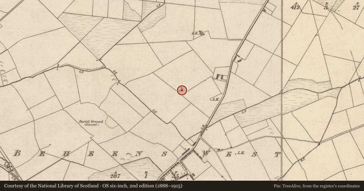 Ordnance Survey six-inch map, 2nd edition (1888–1915) covering the location of Ringfort - rath, Furhane, County Kerry, with a pin at the register's coordinates