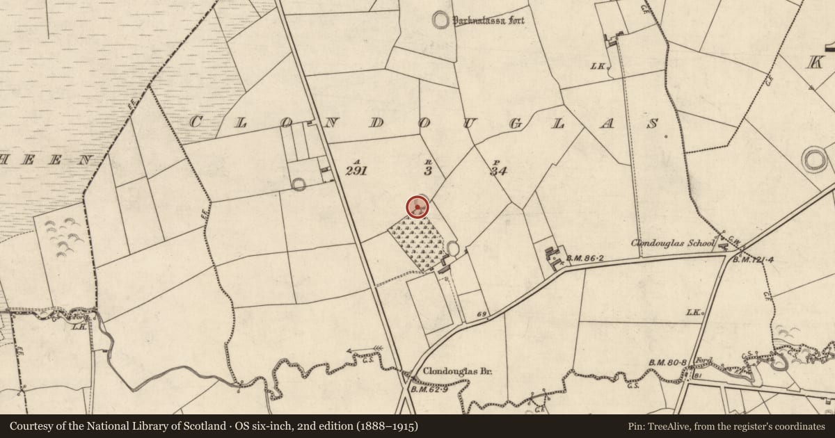 Ordnance Survey six-inch map, 2nd edition (1888–1915) covering the location of Ringfort - rath, Clondouglas, County Kerry, with a pin at the register's coordinates