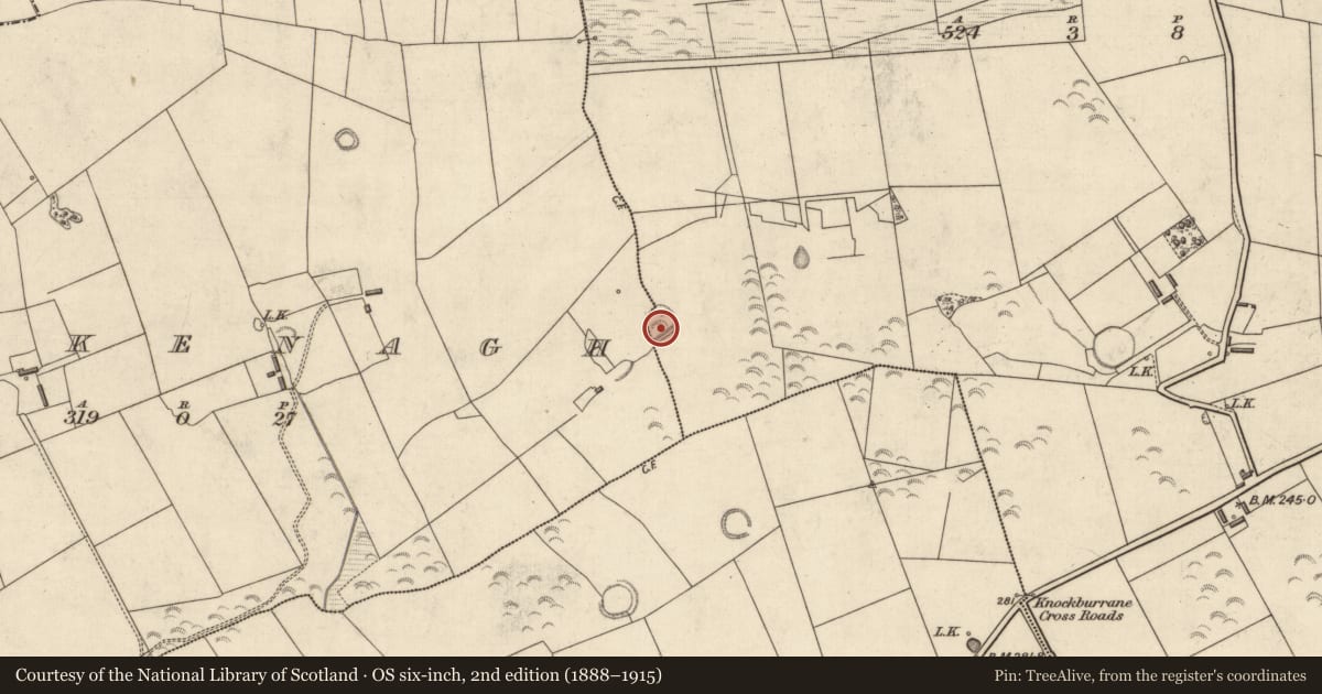 Ordnance Survey six-inch map, 2nd edition (1888–1915) covering the location of Ringfort - rath, Lissahane, Muckenagh, County Kerry, with a pin at the register's coordinates
